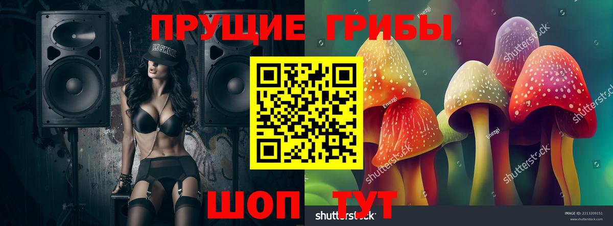 Гурьевск  закладка  Вход с VPN  Псилоцибиновые грибы MAGIC MUSHROOMS 